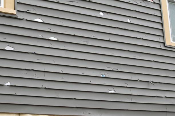 Best Storm Damage Siding Repair  in Mcconnelsville, OH